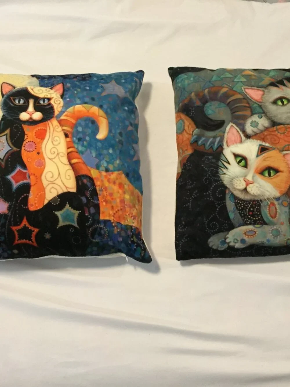 2 Cat Pillows 17